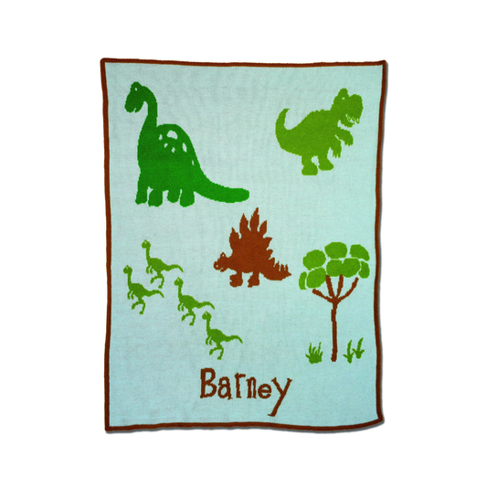 Children's blanket with dinosaur illustrations and the name 'Barney' on a light blue background